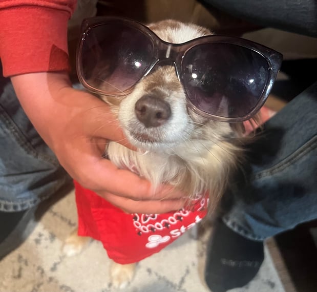 Images Natalie Daly - State Farm Insurance Agent