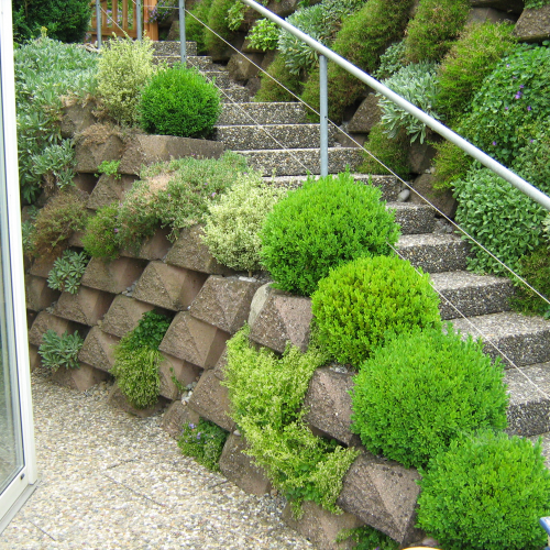 Neidhart Gärten GmbH, Feldstrasse 6 in Sirnach