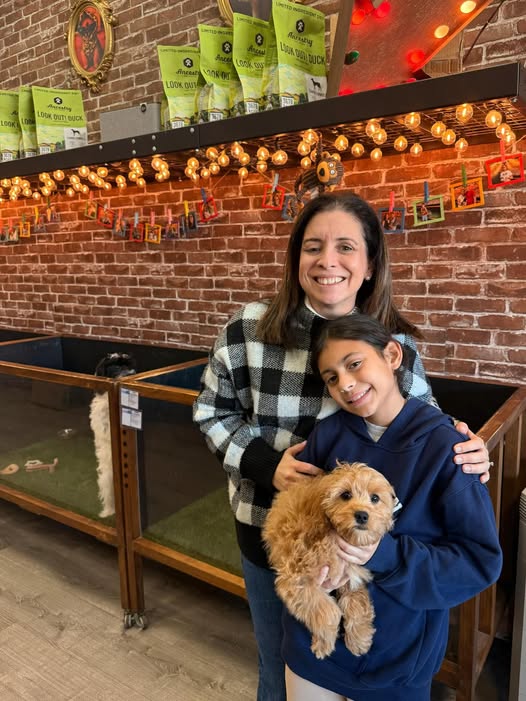 Puppies Direct Image