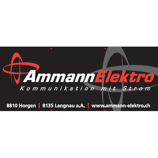 Ammann Elektro AG Logo