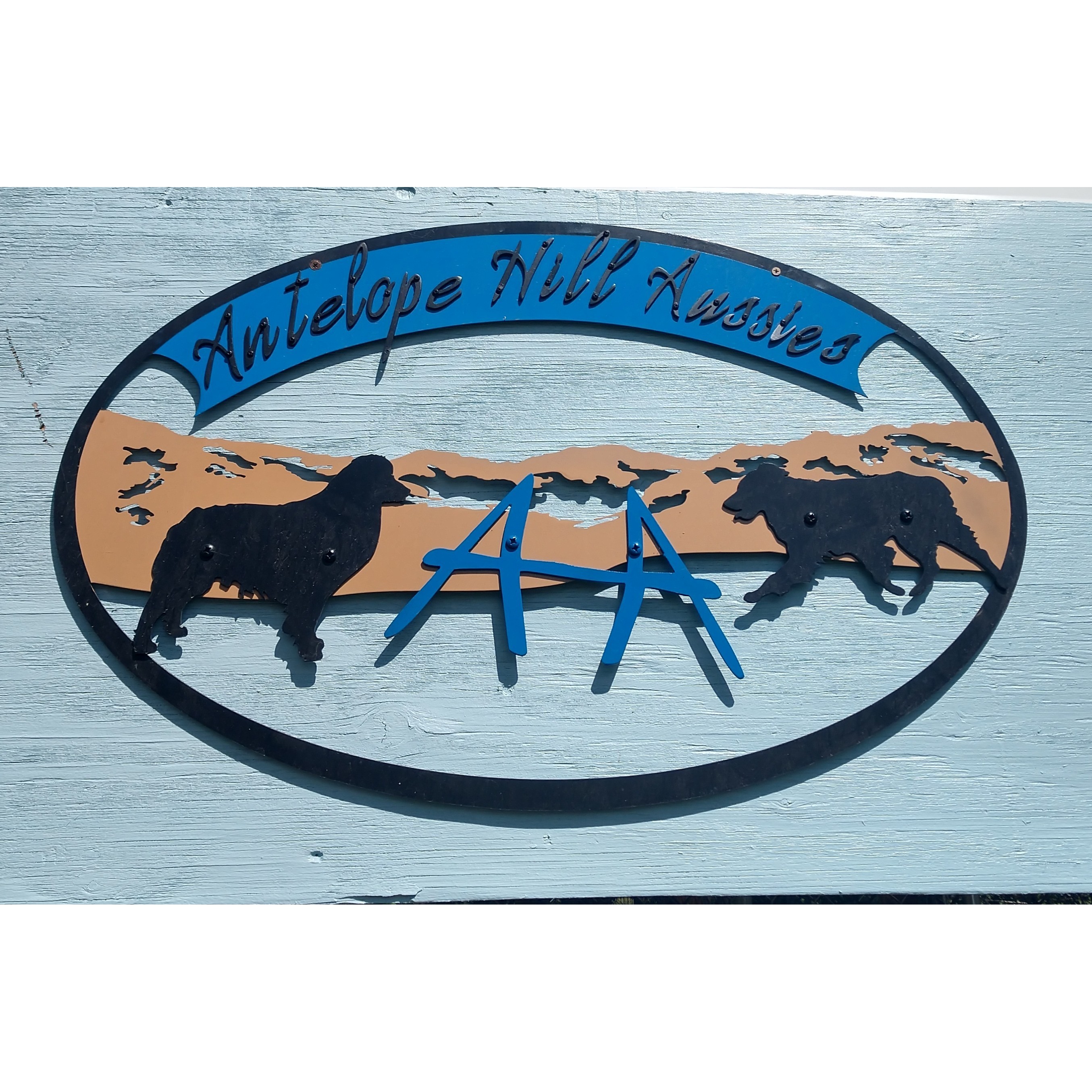 Antelope Hill Aussies llc