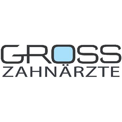 Dr. Erwin Groß Zahnarzt in Bad Endorf - Logo