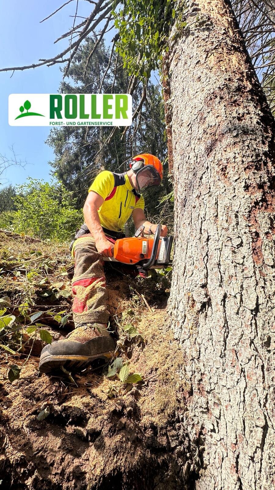 Bilder Forst- und Gartenservice Roller