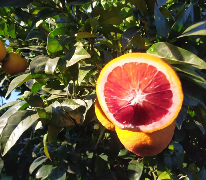 Images Agriturismo su Stai Podere Valbella