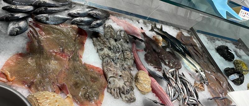 Images Pescheria da Mazzone