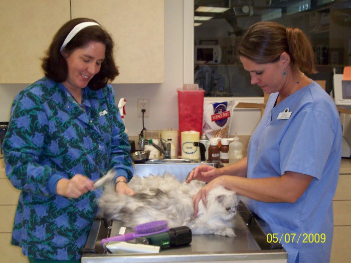 Images VCA Swengel Animal Hospital