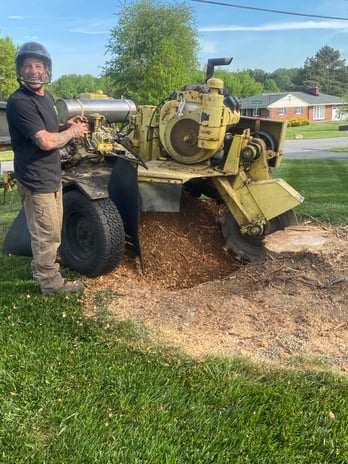 Images Fine Cut & Trim