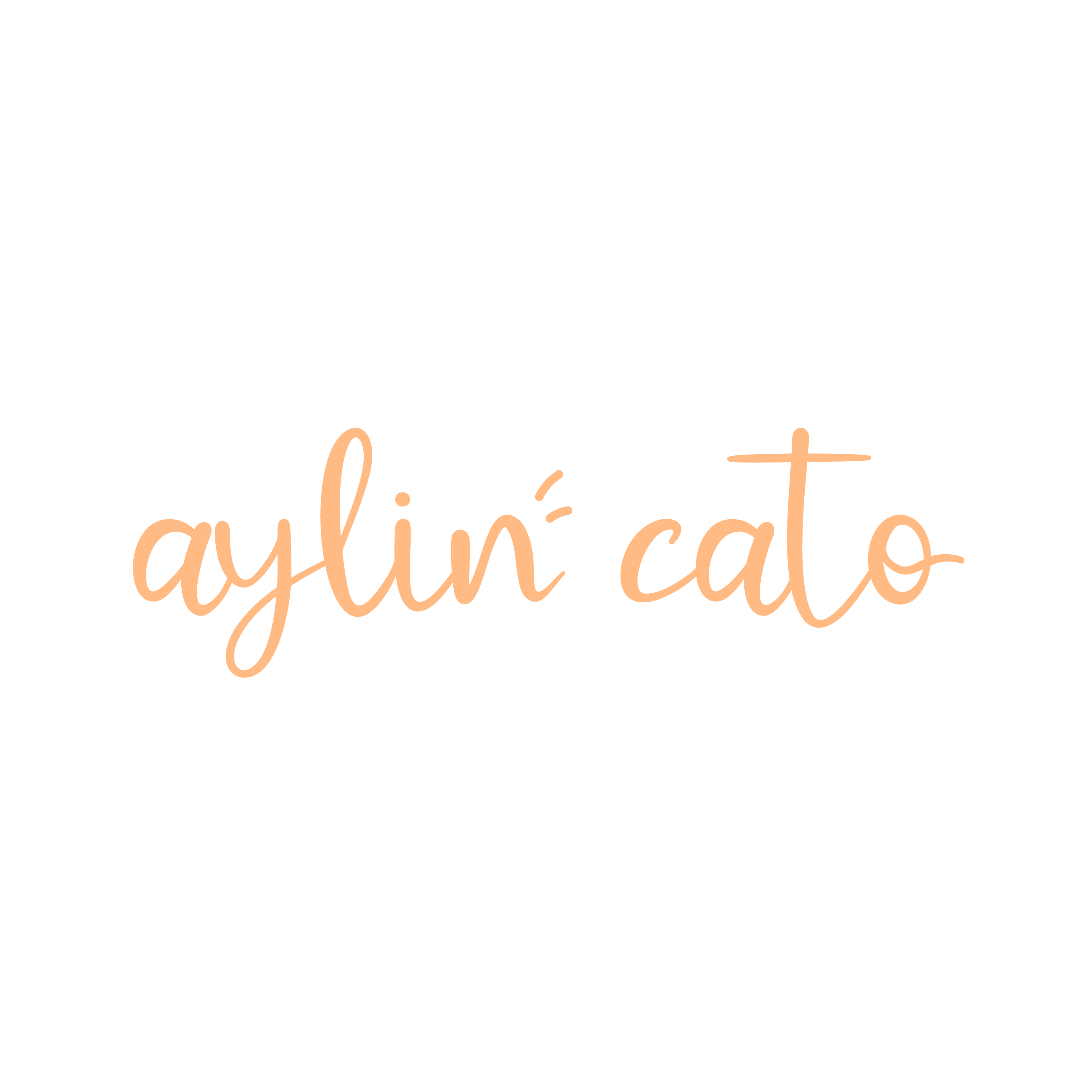Aylin Cato Logo