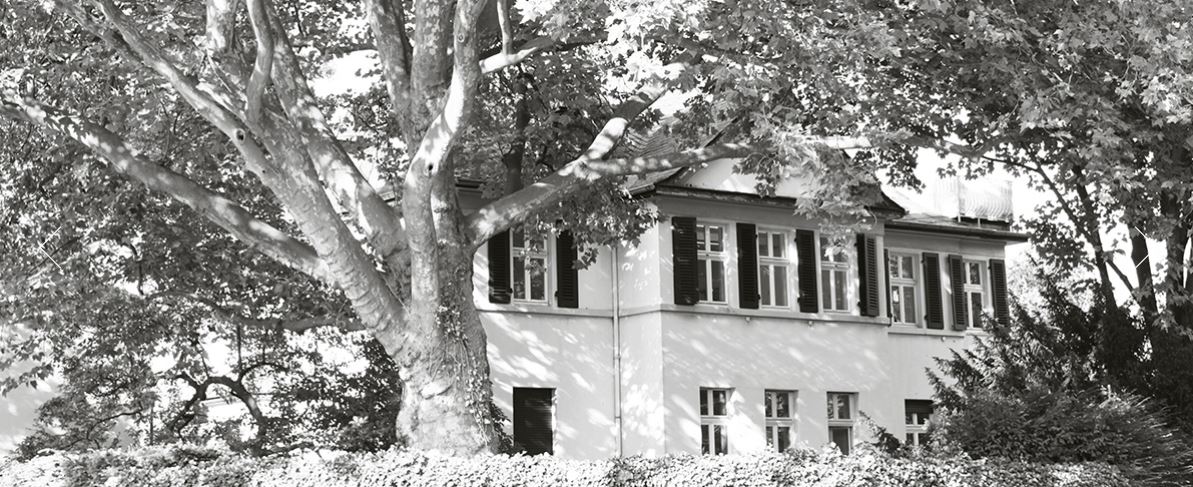 Dr. Sauer & Dr. Sauer Rechtsanwälte Partnerschaft mbB, Duisburger Str. 95 in Dinslaken