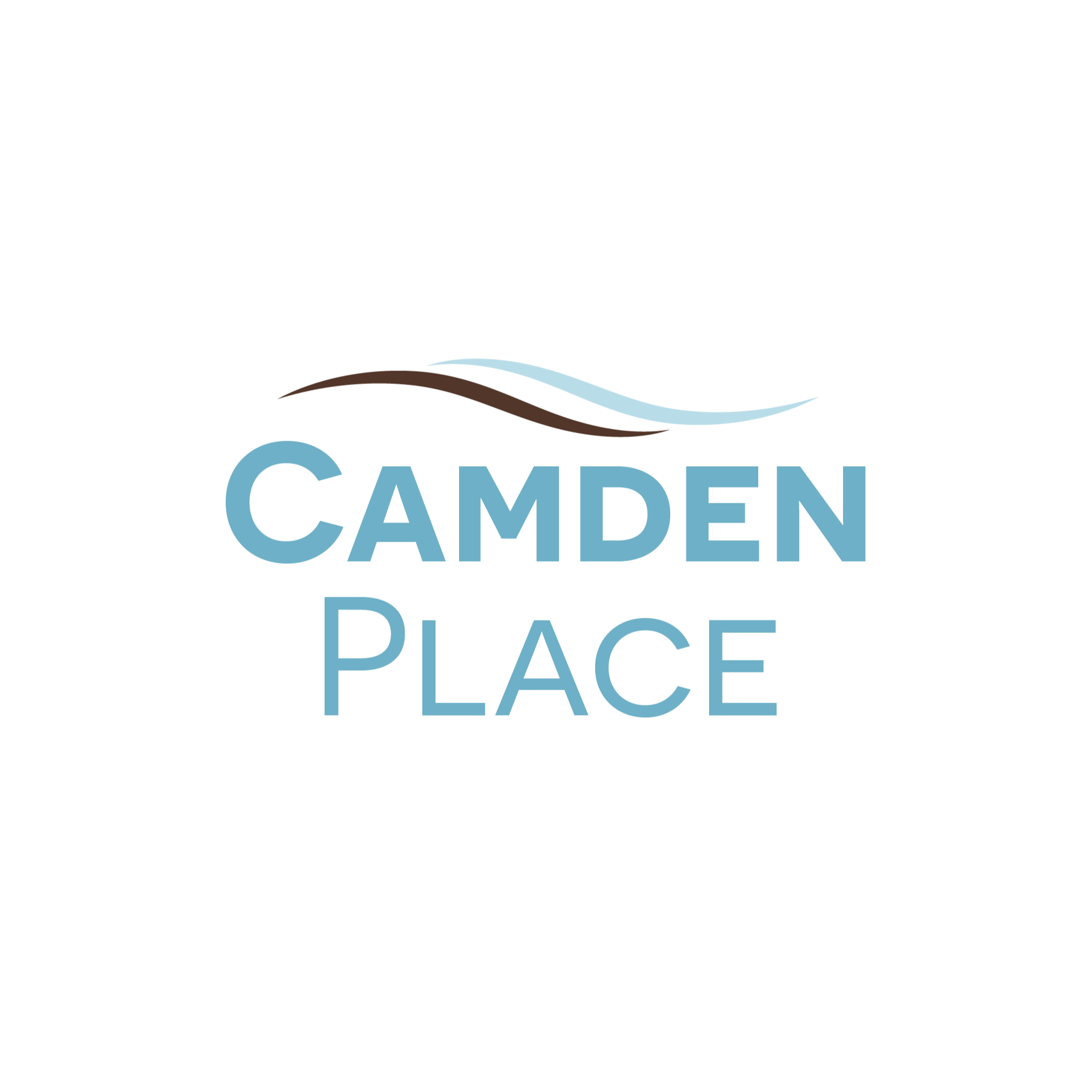 company logo