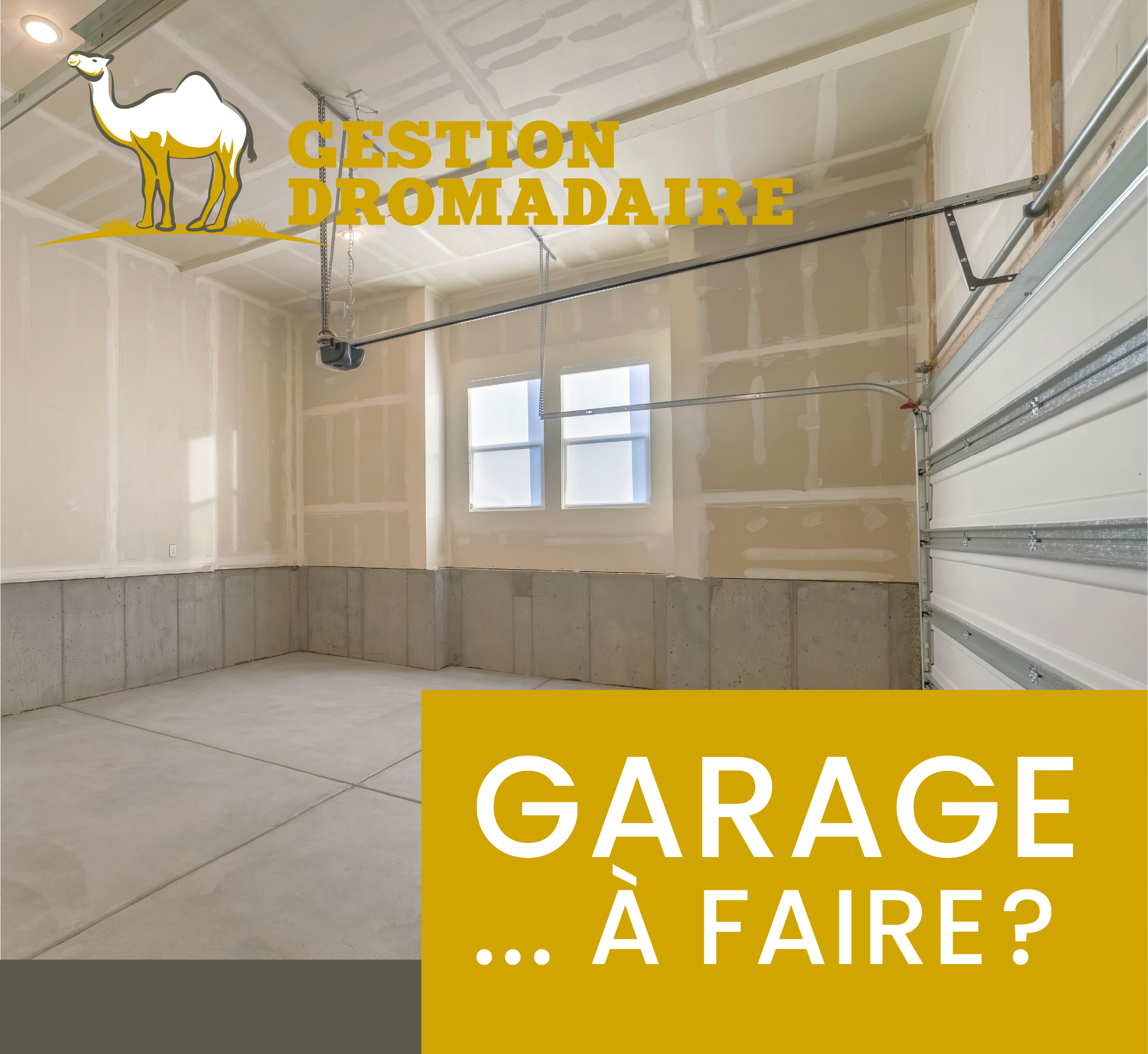 Images Gestion Dromadaire Inc