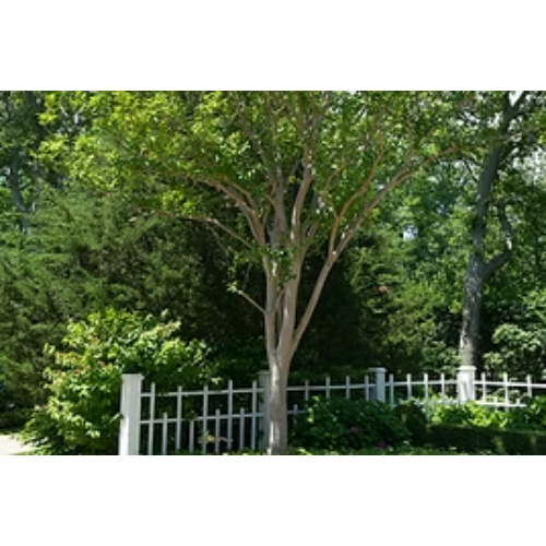 Images Nature's Touch Landscaping, Inc.