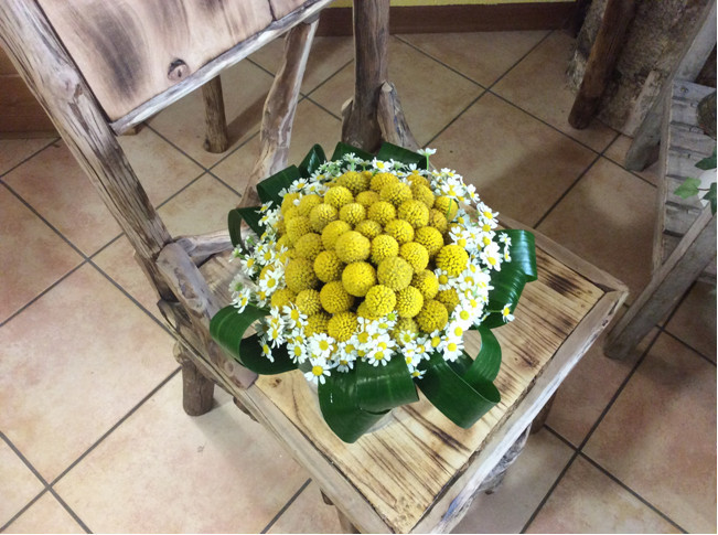 Images Il Fiordaliso