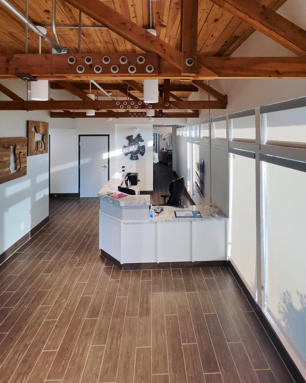 Images Solomon Veterinary Clinic