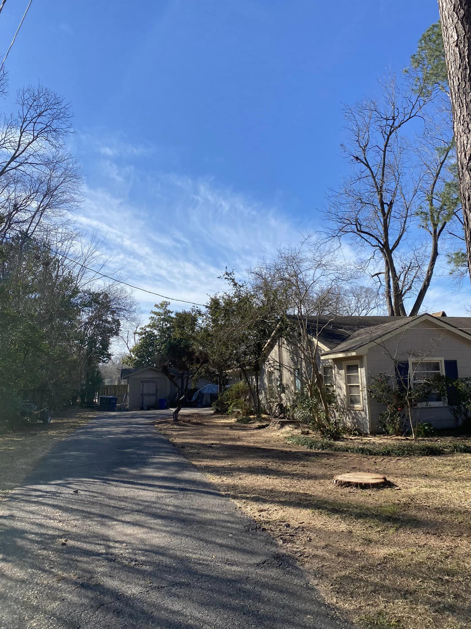 Bynog's Tree Services Image