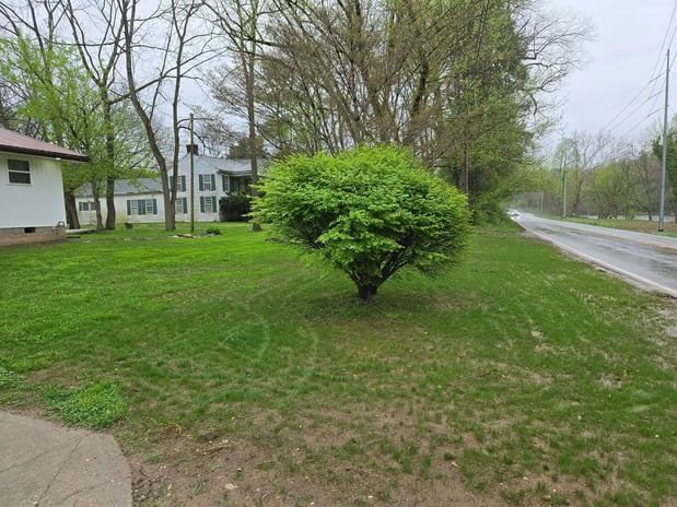 Images McDuffy's Lawn & Pest