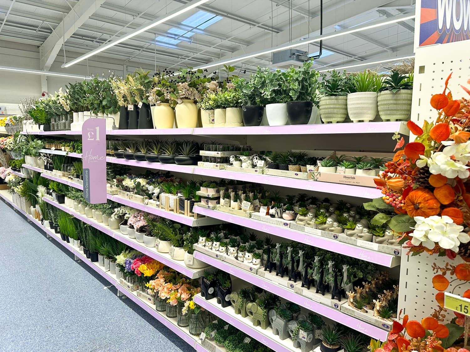 Images B&M Home Store with Garden Centre