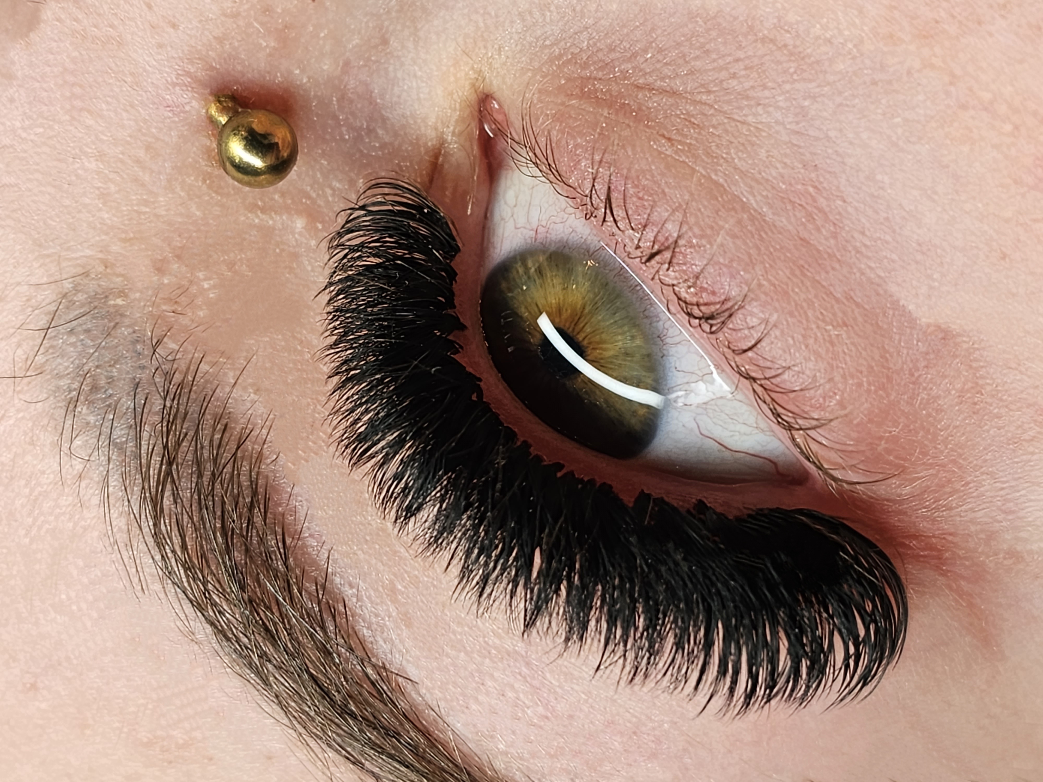 Images Lashista - Formation cils - Pose de cils - Produits de cils Longueuil