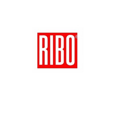 RIBO-Industriesauger GmbH in Affalterbach in Württemberg - Logo