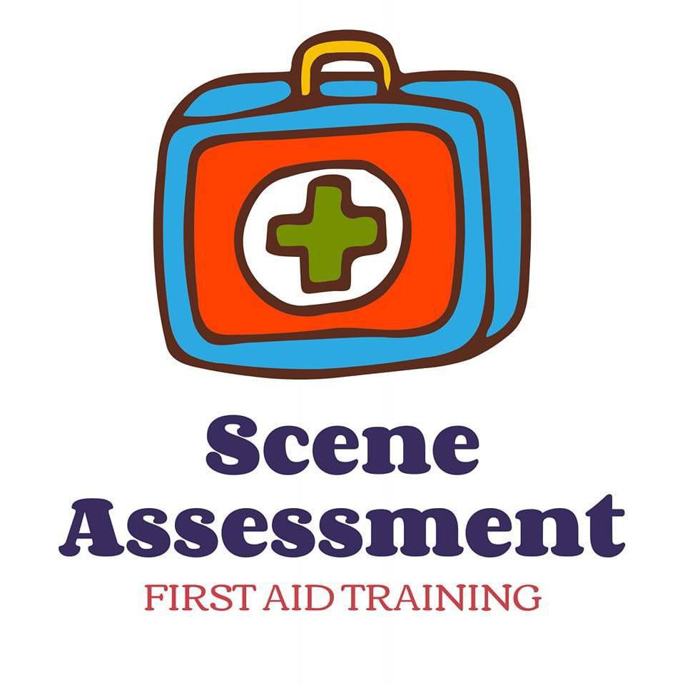 Scene Assessment Logo