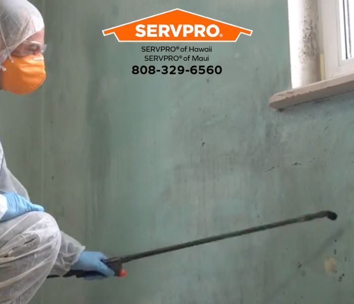 Kailua-Kona Locals Rely on Us for Mold Removal Services!
