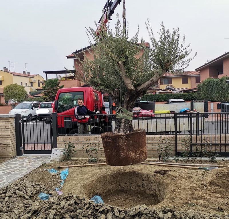 Images Bosi Tonino "Il Giardiniere"