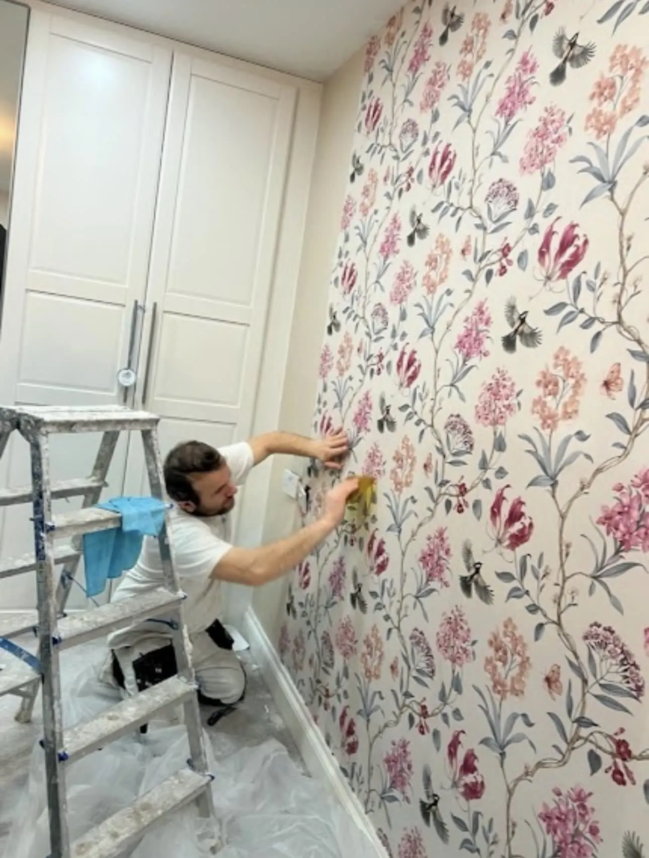 Images Ervis Painting & Decorating Ltd