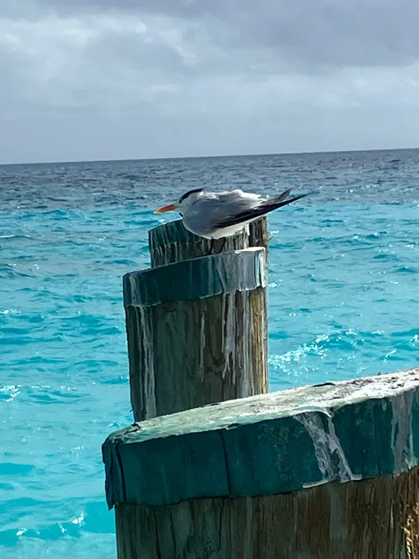 Manifested Concepts, LLC Image