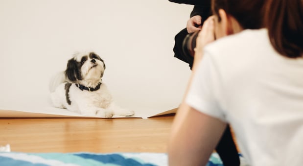 Images Appleton Creative