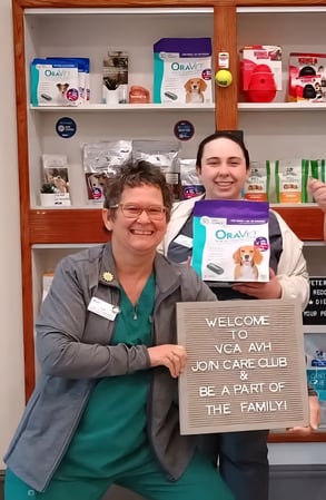 Images VCA AVH Animal Hospital