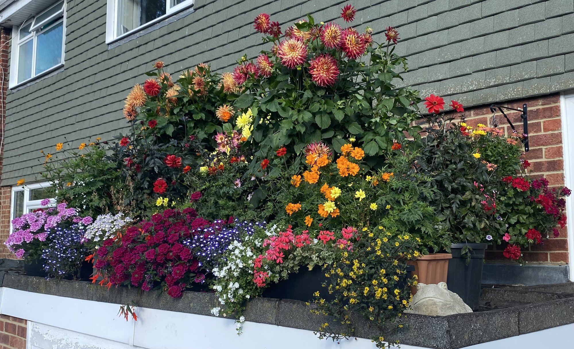 Images Steve Dean Gardening