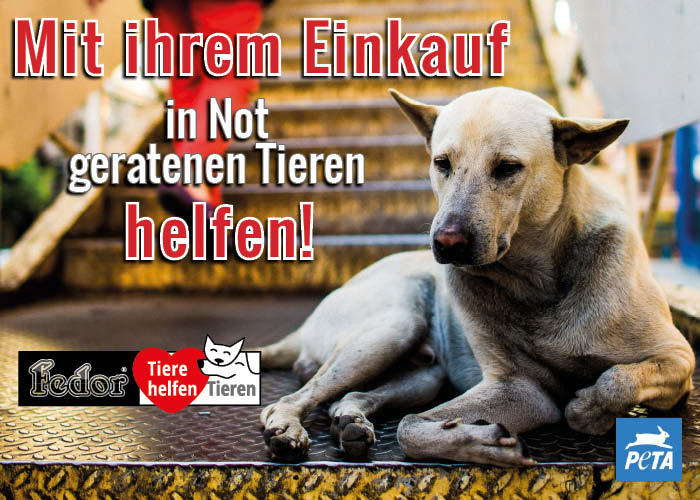 Bild 3 von Fedor Tiernahrung