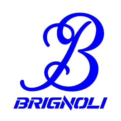 Brignoli Trasporti Logo