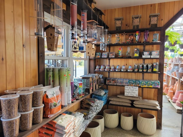 Images Sunny Spot Nursery