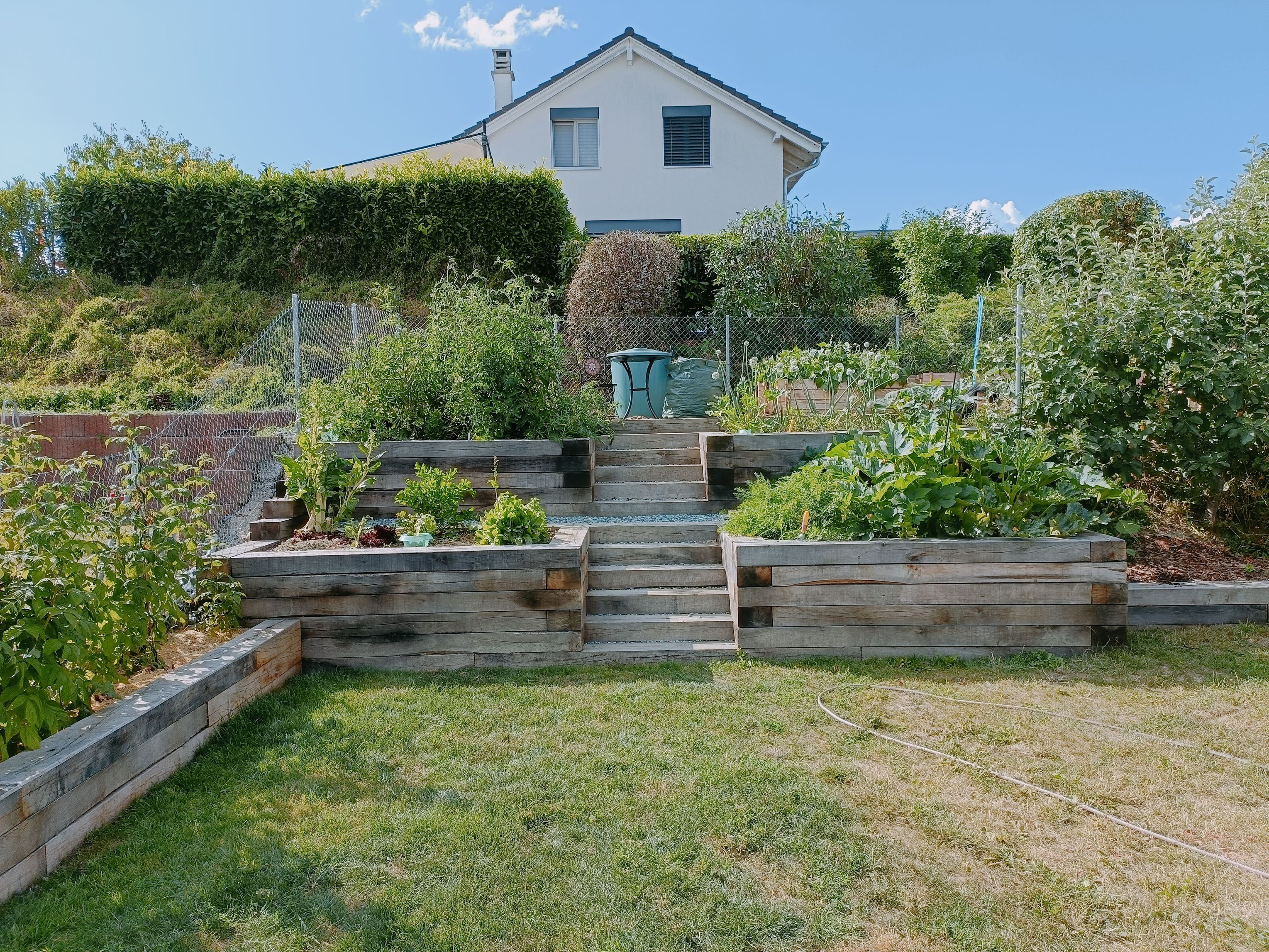 Bilder Mémoires d'Arbres