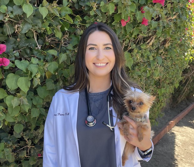 Images VCA Laguna Niguel Animal Hospital