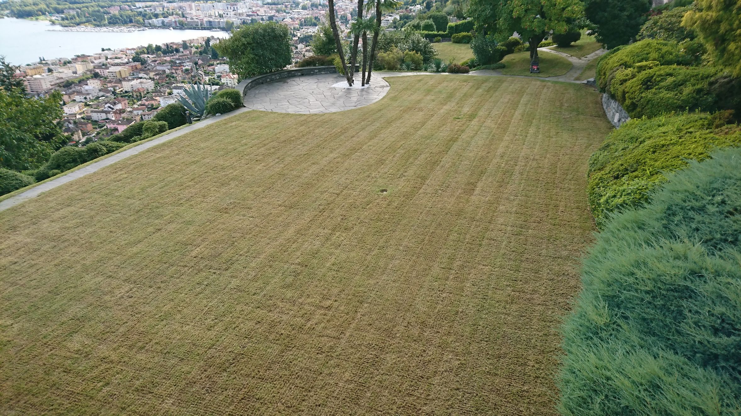 Bilder Wistaria Sagl