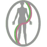 Yana Acupuncture Logo