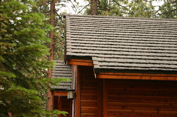 Images True Green Roofing Solutions