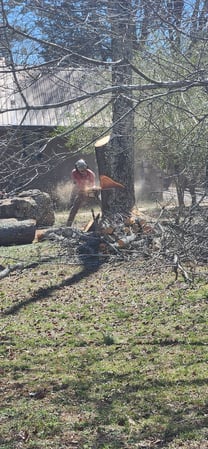 Images Dutton Tree Service