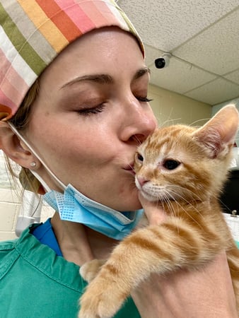 Images VCA Preston Park Animal Hospital