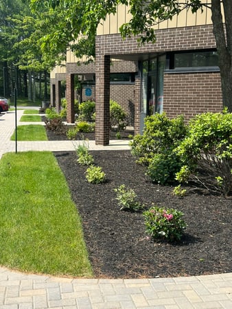 Images Ring Property Management