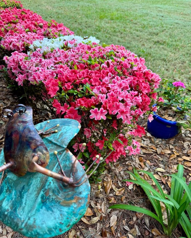 Images Edith Aldrich - State Farm Insurance Agent