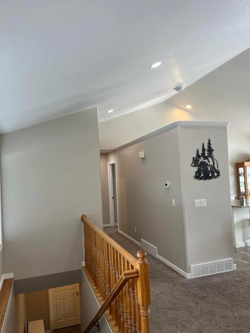 Back Country Customs Image