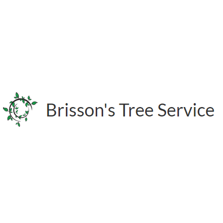 Brisson's Tree Service