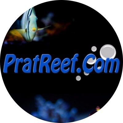 Images PratReef