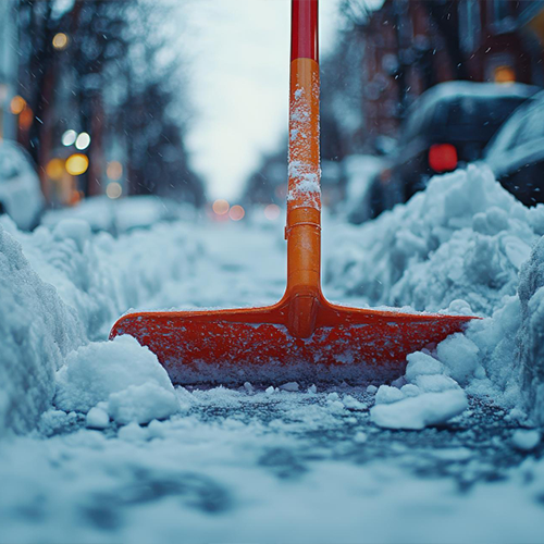 Bild 5 von Alpine Sauber