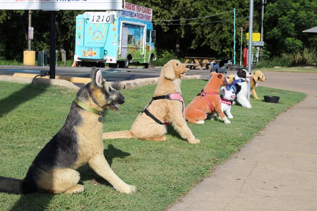 Images Great Outdogs