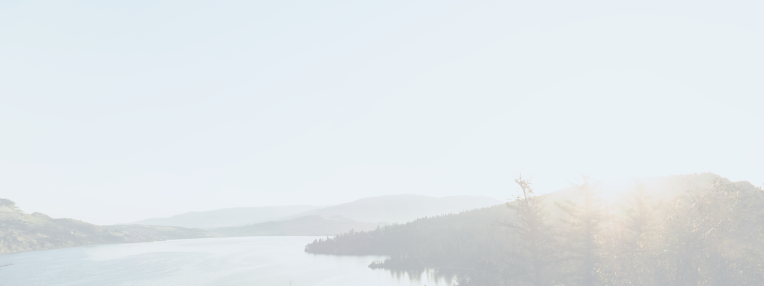 Large lake surrounded by mountains and trees.
