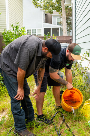 Images Torpedo Mosquito + Gnat of Atlanta